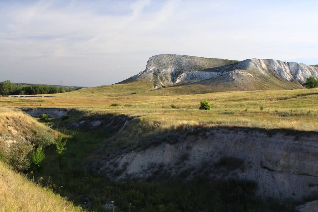 Меловые отложения фото