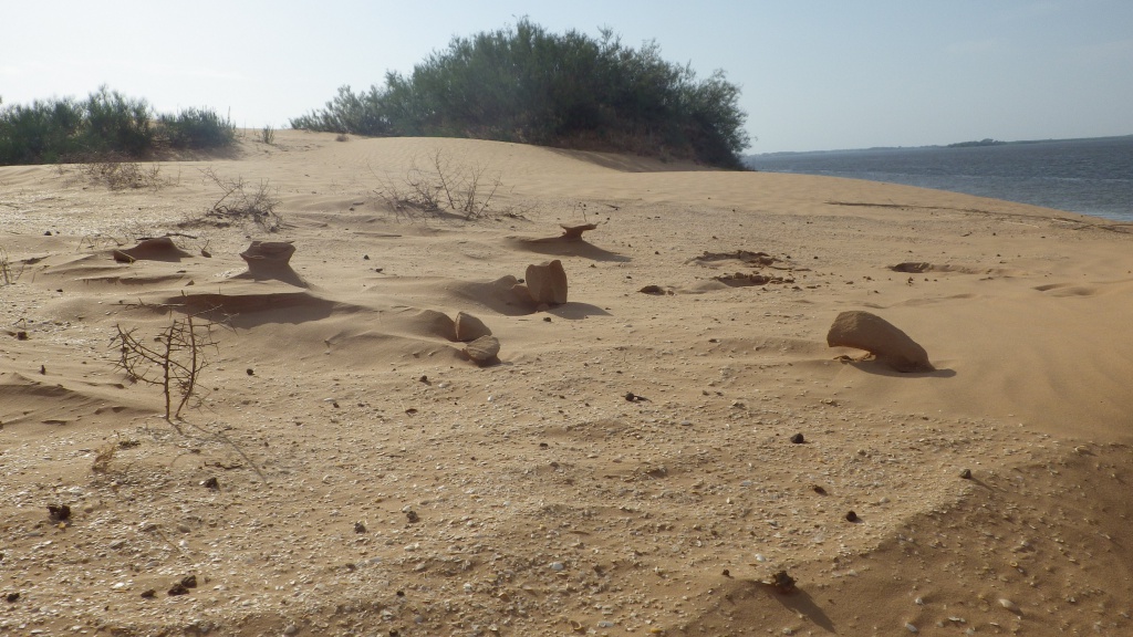 Пустынный ландшафт на берегу Волги.JPG