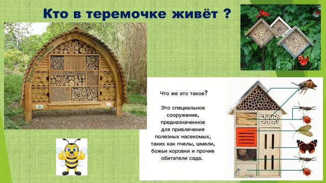 Трухлявый отель2 Трухлявый отель2