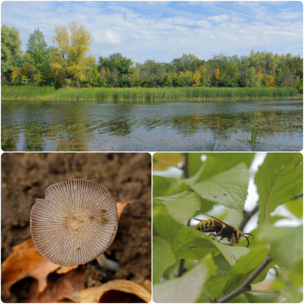 InShot_20260929_201425065.jpg